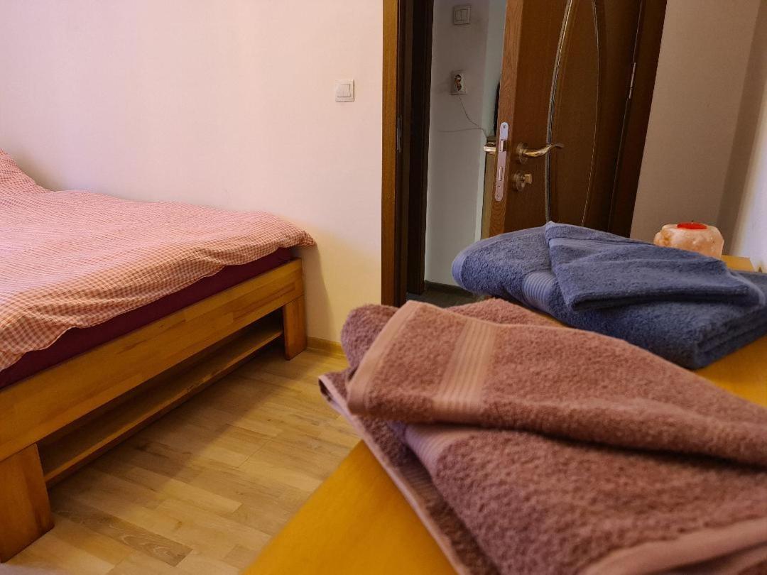 Central Cosy Apart Oradea Lejlighed Eksteriør billede