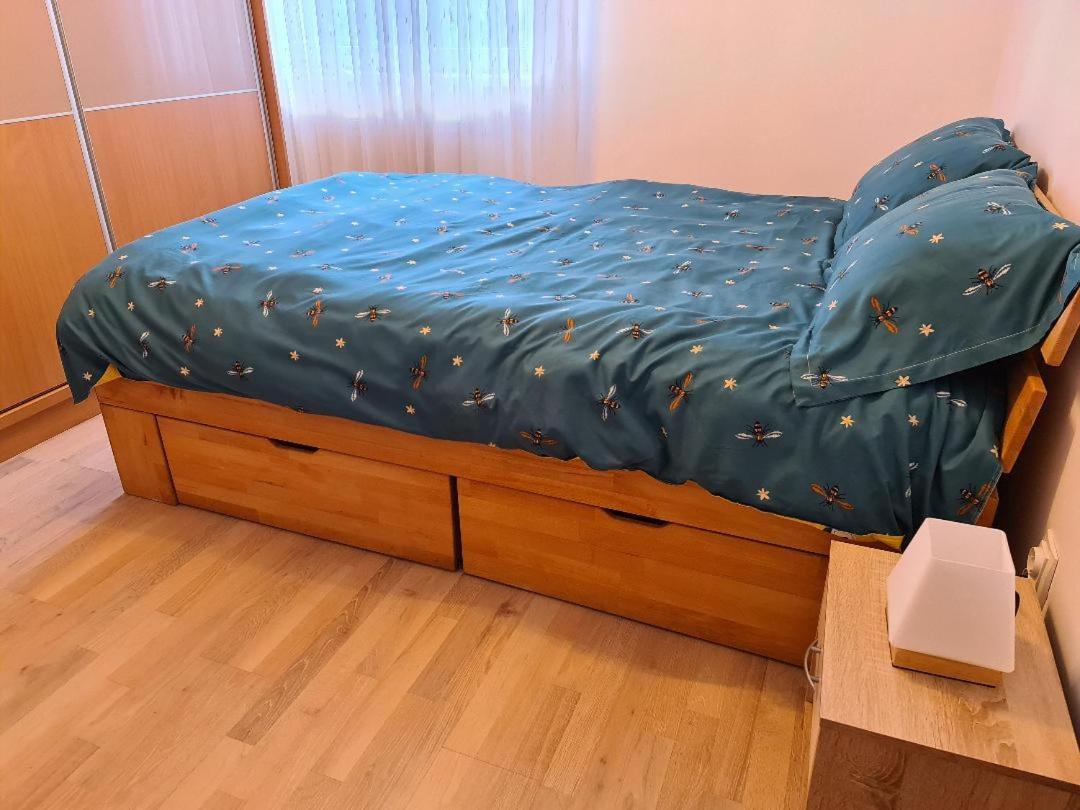 Central Cosy Apart Oradea Lejlighed Eksteriør billede