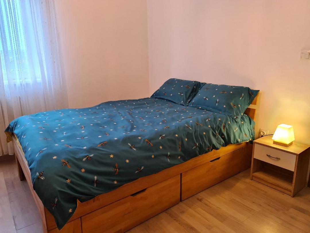Central Cosy Apart Oradea Lejlighed Eksteriør billede