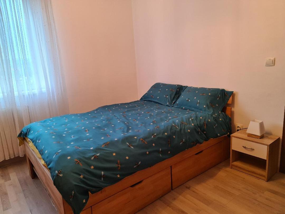 Central Cosy Apart Oradea Lejlighed Eksteriør billede